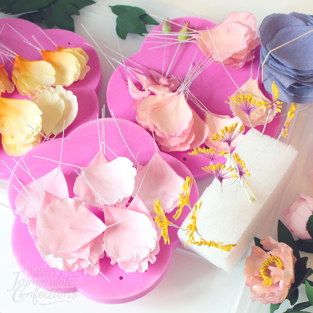 Fully-Wired Sugar Peony<br>- 16 February 2025 - - Image 3